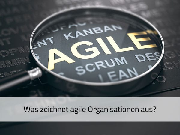 Was zeichnet Agile Organisationen aus?